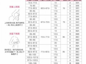 最新中国在线观看免费国语尺码，各种精彩内容不容错过