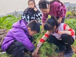 拔萝卜游戏：女孩子体验童真的乐趣