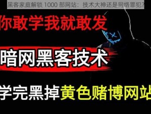 黑客家庭解锁 1000 部网站：技术大神还是网络罪犯？