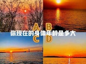 533 测试综合——全面了解你的身体状况