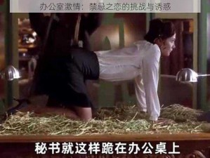 办公室激情：禁忌之恋的挑战与诱惑