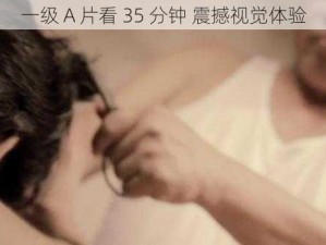 一级 A 片看 35 分钟 震撼视觉体验