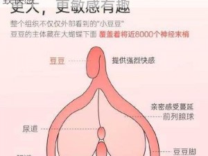 舌L 子伦熟妇视频，成人用品，让你体验极致快感