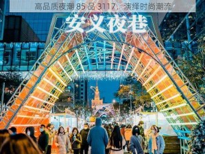 高品质夜潮 85 品 3117，演绎时尚潮流