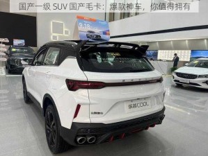 国产一级 SUV 国产毛卡：爆款神车，你值得拥有