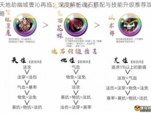 天地劫幽城曹沁再临：深度解析魂石搭配与技能升级推荐攻略