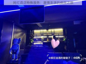 网红酒店特殊服务：激情澎湃的疯狂之旅