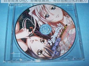 日本高清 DVD，珍藏级画质，带你领略日化的魅力