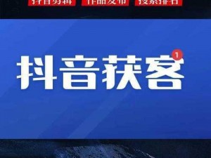 seo 短视频网页入口引流：抓住网络热点，提升流量