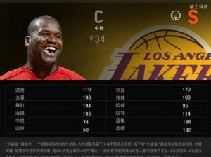 NBA 2K10SG游戏心得分享：提升技能与策略的全面解析