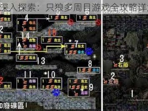 《深入探索：只狼多周目游戏全攻略详解》