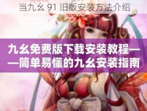 当九幺 91 旧版安装方法介绍