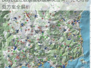 DayZ独立版崩溃秒退解决指南：优化与修复方案全解析