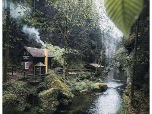 我在林中小屋截了个小视频，看看这令人惊叹的风景