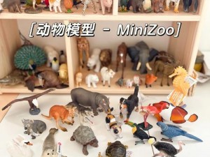 欧美人与 zoo 品牌的高品质宠物玩具