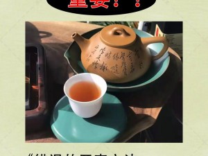 揭秘最新FGO茶壶使用指南：掌握现版本茶壶的正确操作方法