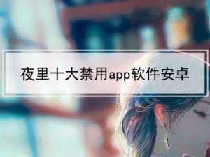 夜里十大禁用 APP 软件安卓：畅享安全夜生活的必备工具