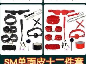 高黄 H 文各种姿势 PLAY 道具 1V1 男女情趣用品成人玩具