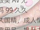 殴美 AV 无码 99 久久久国精，成人情趣用品，提升夫妻生活质量