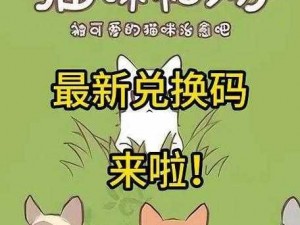 关于猫咪和汤的最新礼包兑换码福利2024，全民狂欢盛典等你来领