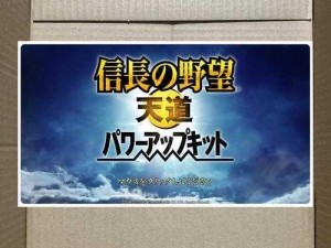 信长之野望13天道威力增强版：深度解析实用军团长的策略与战斗力提升之道