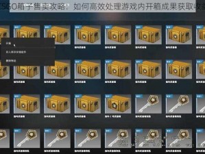 CSGO箱子售卖攻略：如何高效处理游戏内开箱成果获取收益