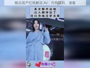 精品国产红桃解说 AV：内有猛料，速看