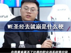 WE圣经'去就崩'背后的故事：输赛选手遭批，垃圾标签背后的真相探究