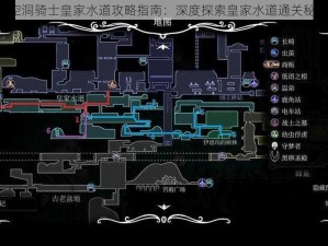 《空洞骑士皇家水道攻略指南：深度探索皇家水道通关秘籍》