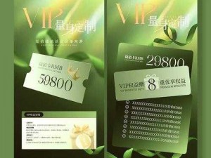 少林功夫VIP专属特权与价格全面解析：尊享极致体验，揭示所有权益