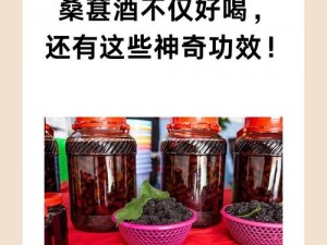 江湖醉梦桑葚酒秘术 桑葚酒制作秘籍：用途广泛 材料详解