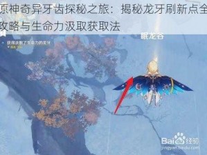 原神奇异牙齿探秘之旅：揭秘龙牙刷新点全攻略与生命力汲取获取法