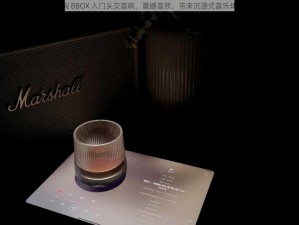 撕裂 BBOX 入门头交音响，震撼音效，带来沉浸式音乐体验