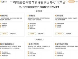 有哪些值得推荐的好看的国外 crm 产品