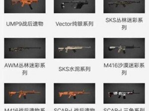 暴躁老阿姨 csgo 皮肤大全，各类枪械皮肤应有尽有