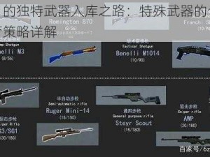 往日的独特武器入库之路：特殊武器的仓储保管策略详解