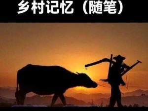 深耕过后，真的就再也回不去了吗？高品质农具，助你在农田中深耕细作