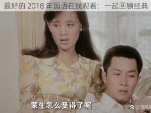 最好的 2018 年国语在线观看：一起回顾经典