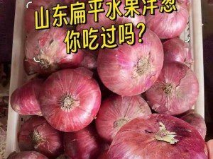 永久吃瓜 CGWCOM 高品质水果，新鲜采摘，甜蜜多汁