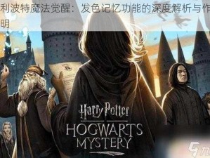 哈利波特魔法觉醒：发色记忆功能的深度解析与作用说明