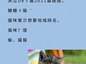 猫咪社区的永久地域网名是什么？可爱猫咪等你来撩