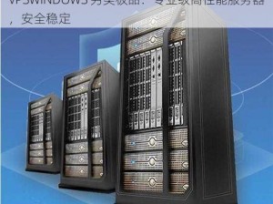 VPSWINDOWS 另类极品：专业级高性能服务器，安全稳定