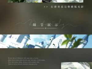 光影之恋的隽永盛事：雕花饰梦攻略，探寻选光指南