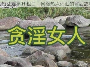 公妇乱婬高 H 粗口：网络热点词汇的背后故事