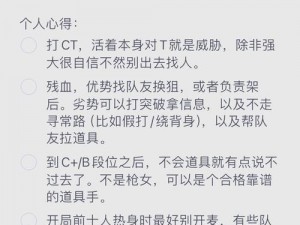 暴躁老奶奶的 CSGO 心得分享：教你如何成为游戏大神