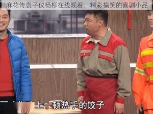 麻花传袁子仪杨柳在线观看：精彩搞笑的喜剧小品