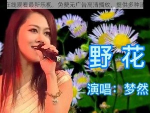 野花视频在线观看最新乐视，免费无广告高清播放，提供多种清晰度选择