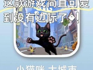 猫ナイド游戏安装：在游戏中体验可爱猫咪的冒险之旅