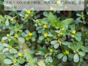 免费 18 成人 XXX 深夜小野草，营养丰富，口感鲜美，是您健康生活的好选择