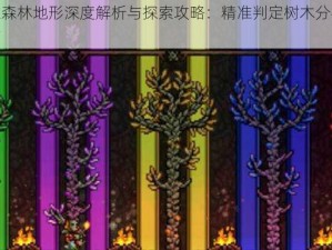 泰拉瑞亚森林地形深度解析与探索攻略：精准判定树木分布及资源寻宝指南